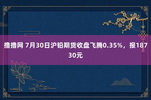 撸撸网 7月30日沪铅期货收盘飞腾0.35%，报18730元