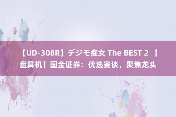 【UD-308R】デジモ痴女 The BEST 2 【盘算机】国金证券：优选赛谈，聚焦龙头