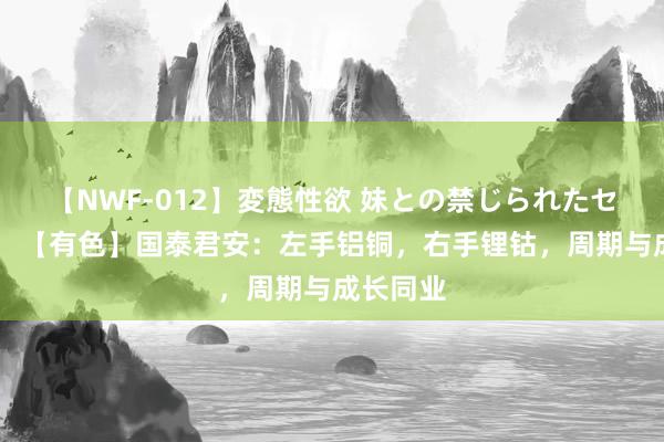 【NWF-012】変態性欲 妹との禁じられたセックス。 【有色】国泰君安：左手铝铜，右手锂钴，周期与成长同业