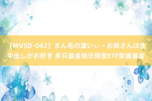 【MVSD-042】まん毛の濃いぃ～お姉さんは生中出しがお好き 多只基金晓示转型ETF聚拢基金