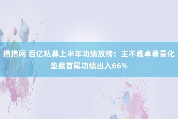 撸撸网 百亿私募上半年功绩放榜：主不雅卓著量化垫底首尾功绩出入66%