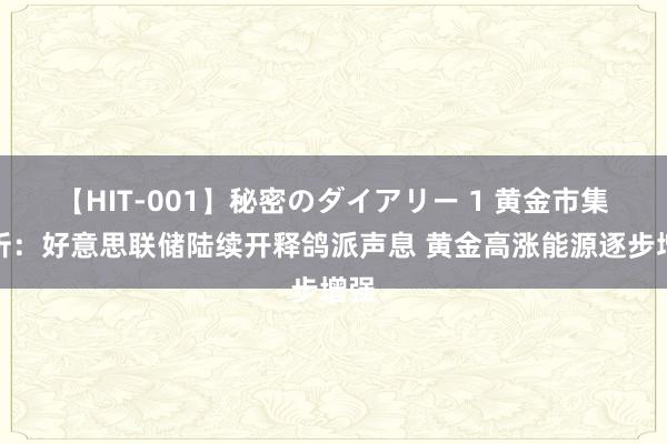 【HIT-001】秘密のダイアリー 1 黄金市集分析：好意思联储陆续开释鸽派声息 黄金高涨能源逐步增强