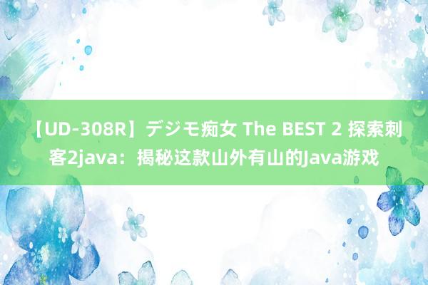 【UD-308R】デジモ痴女 The BEST 2 探索刺客2java：揭秘这款山外有山的Java游戏