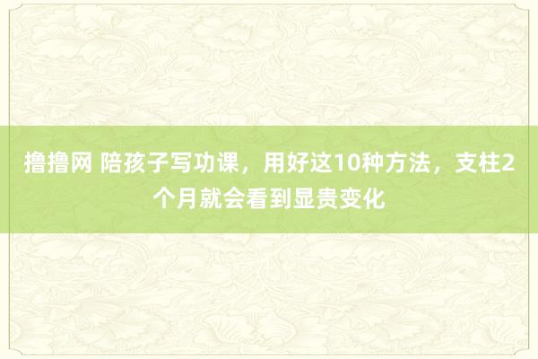 撸撸网 陪孩子写功课，用好这10种方法，支柱2个月就会看到显贵变化