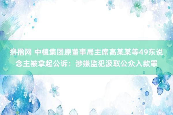 撸撸网 中植集团原董事局主席高某某等49东说念主被拿起公诉：涉嫌监犯汲取公众入款罪