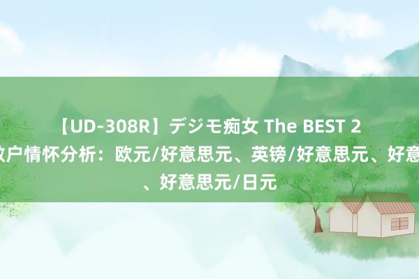 【UD-308R】デジモ痴女 The BEST 2 好意思元散户情怀分析：欧元/好意思元、英镑/好意思元、好意思元/日元