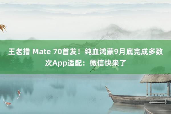 王老撸 Mate 70首发！纯血鸿蒙9月底完成多数次App适配：微信快来了