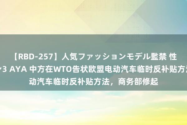 【RBD-257】人気ファッションモデル監禁 性虐コレクション3 AYA 中方在WTO告状欧盟电动汽车临时反补贴方法，商务部修起