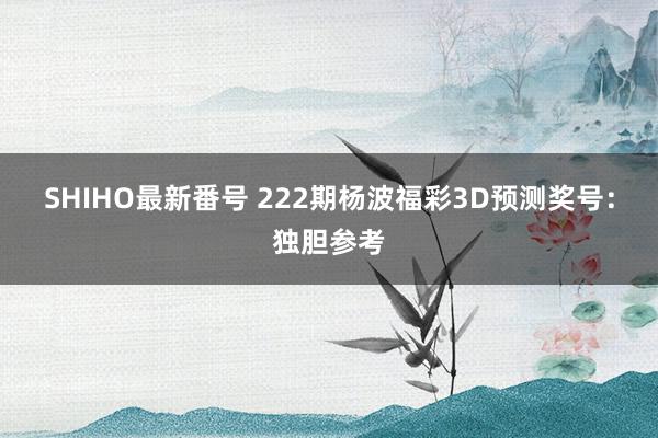 SHIHO最新番号 222期杨波福彩3D预测奖号：独胆参考