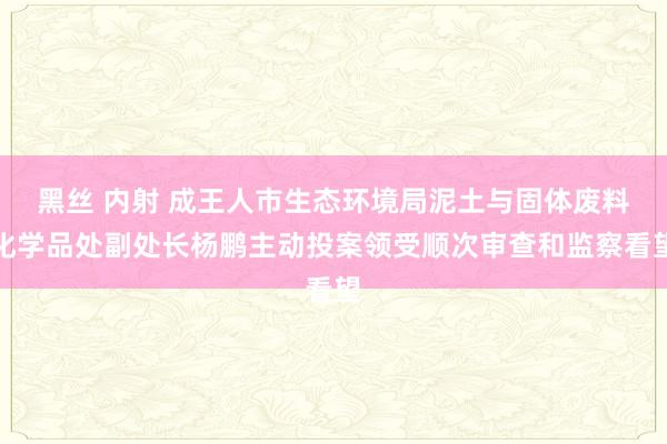 黑丝 内射 成王人市生态环境局泥土与固体废料化学品处副处长杨鹏主动投案领受顺次审查和监察看望