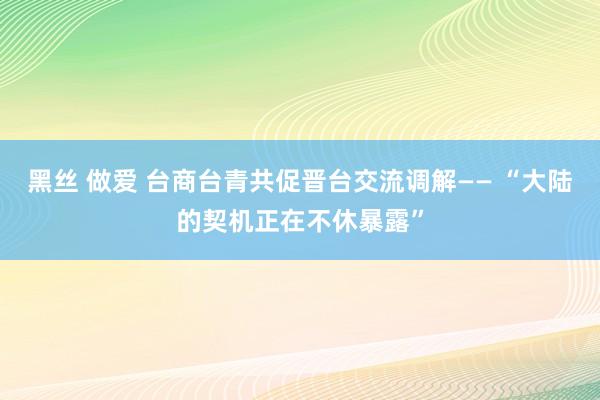 黑丝 做爱 台商台青共促晋台交流调解—— “大陆的契机正在不休暴露”