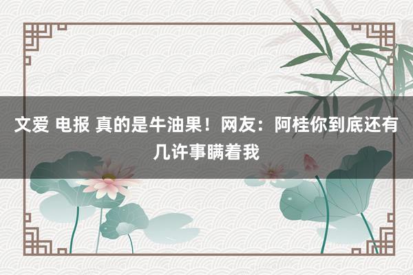 文爱 电报 真的是牛油果！网友：阿桂你到底还有几许事瞒着我