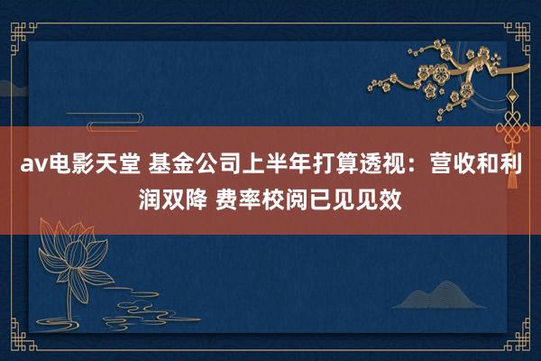 av电影天堂 基金公司上半年打算透视：营收和利润双降 费率校阅已见见效