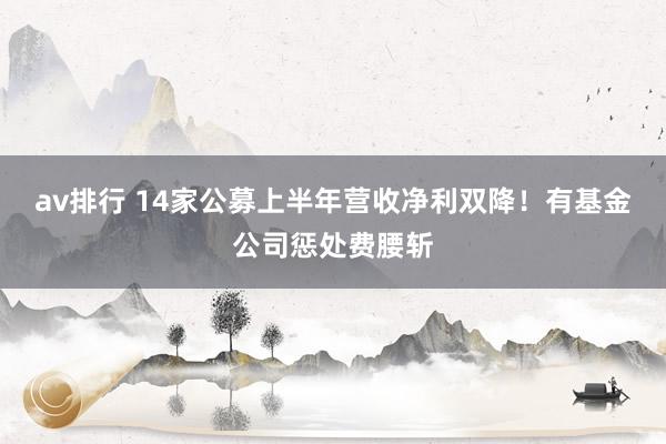 av排行 14家公募上半年营收净利双降！有基金公司惩处费腰斩