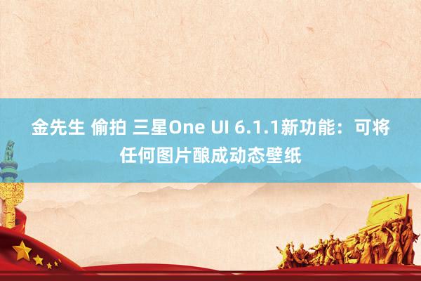 金先生 偷拍 三星One UI 6.1.1新功能：可将任何图片酿成动态壁纸