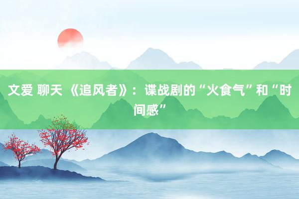 文爱 聊天 《追风者》：谍战剧的“火食气”和“时间感”