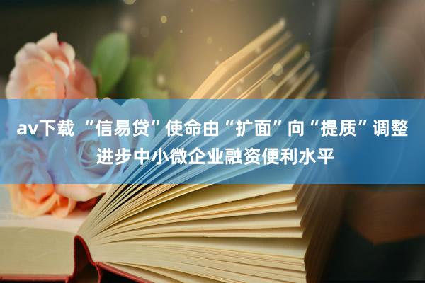 av下载 “信易贷”使命由“扩面”向“提质”调整 进步中小微企业融资便利水平